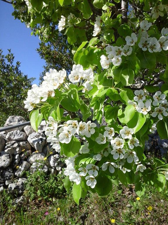 Agriturismo Monte Criscione Avola Ngoại thất bức ảnh